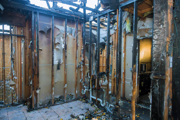 Professional Smoke Damage Removal technician working in Cambridge, WI